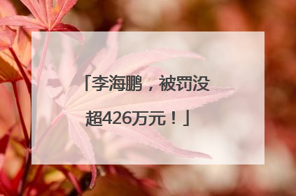 李海鹏，被罚没超426万元！